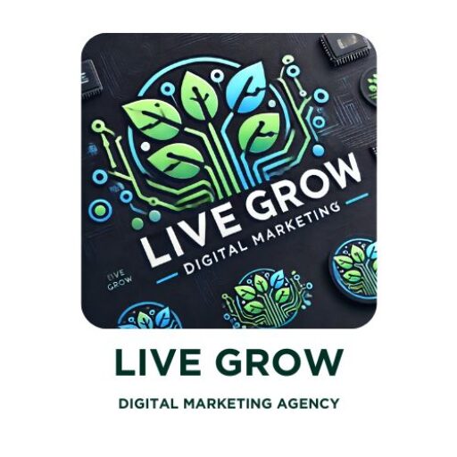 Live Grow no. 1 Digital Marketing Agency in Nellore